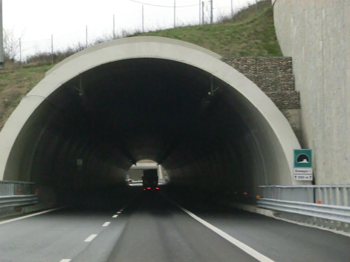 Rioveggio 1 Tunnel northern portals 