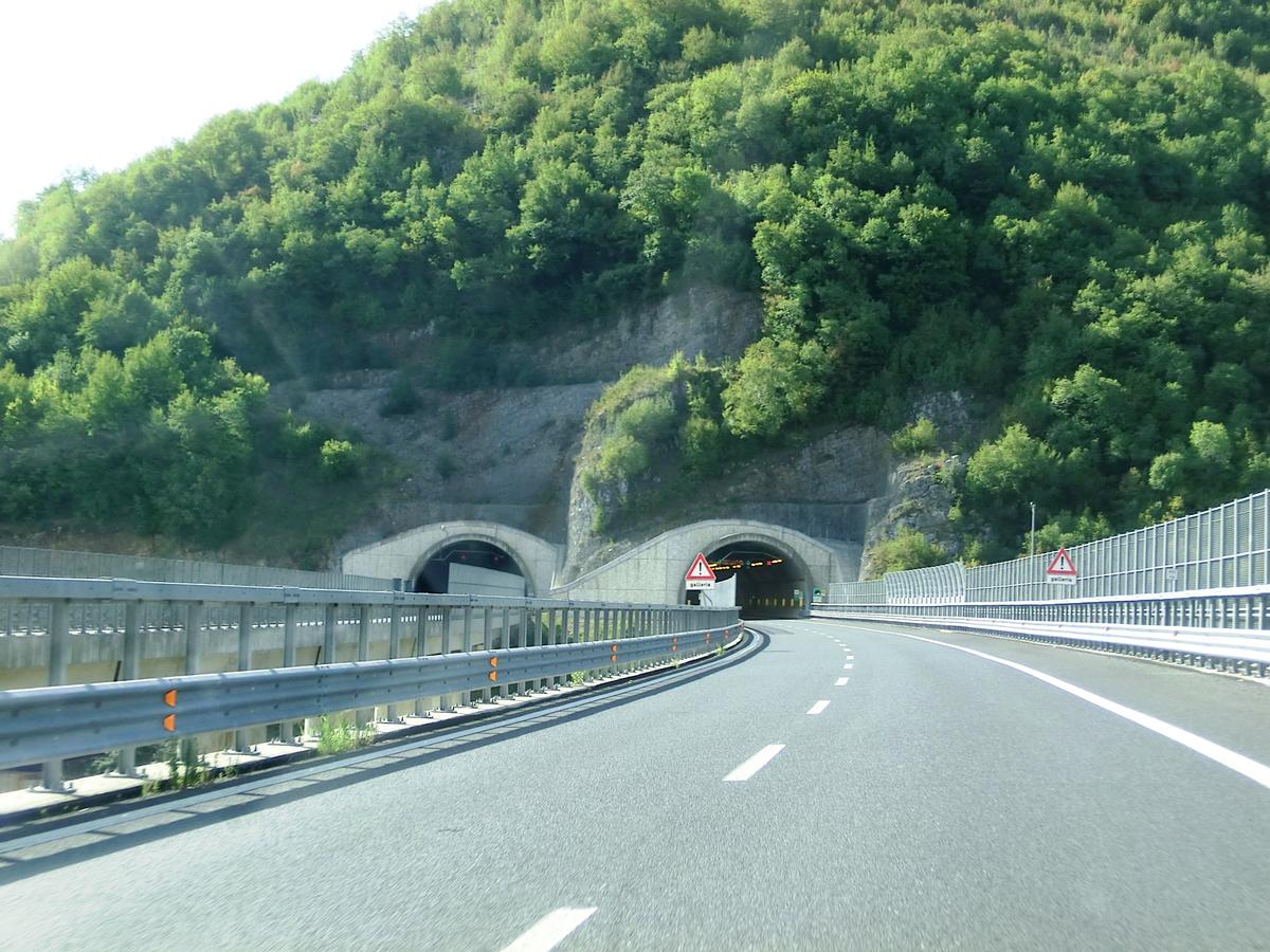 Casalbuono Tunnel northern portals 