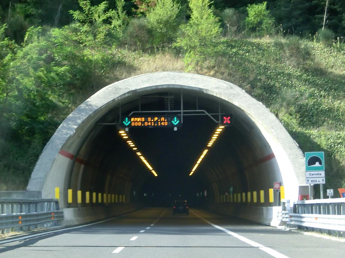 Cerreta Tunnel (Montesano) northern portal 