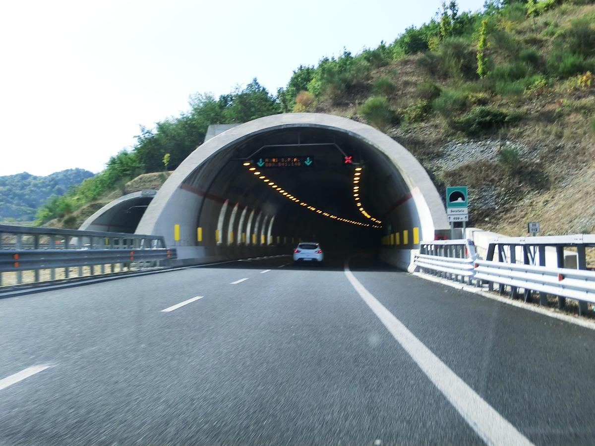 Deruitata Tunnel northern portal 