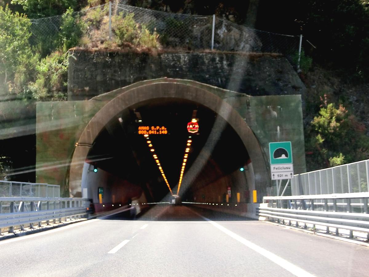 Feliciusu Tunnel northern portal 