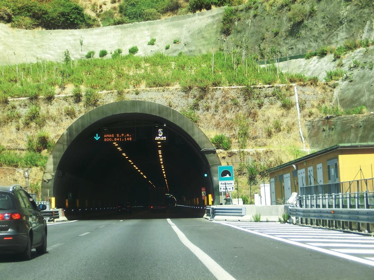 Feliciusu Tunnel southern portal 