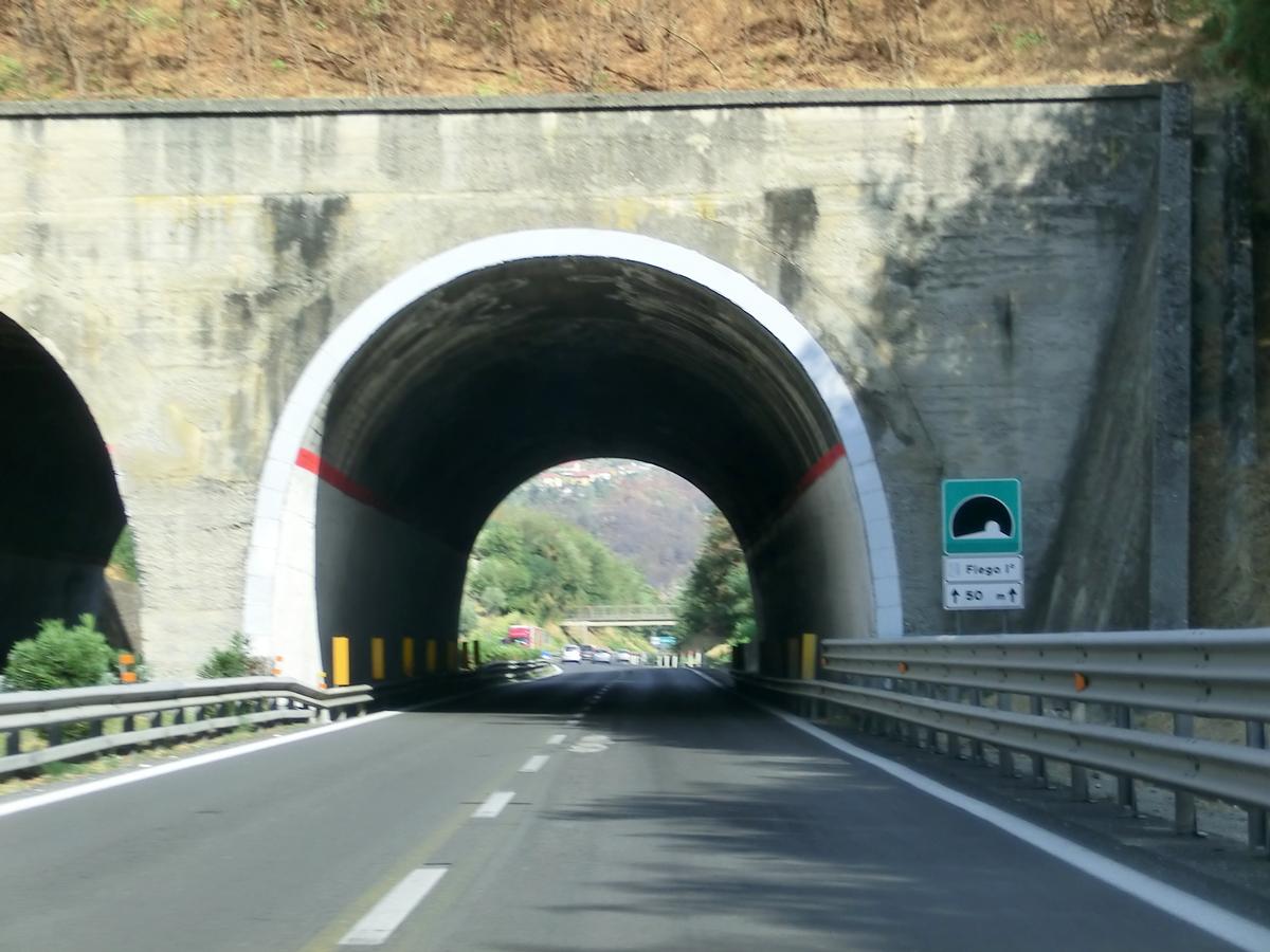 Tunnel de Fiego I 