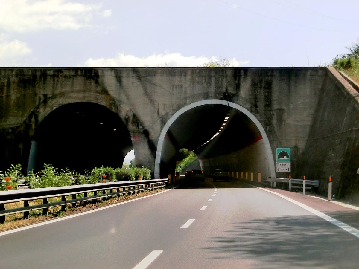 Fiego II Tunnel northern portals 