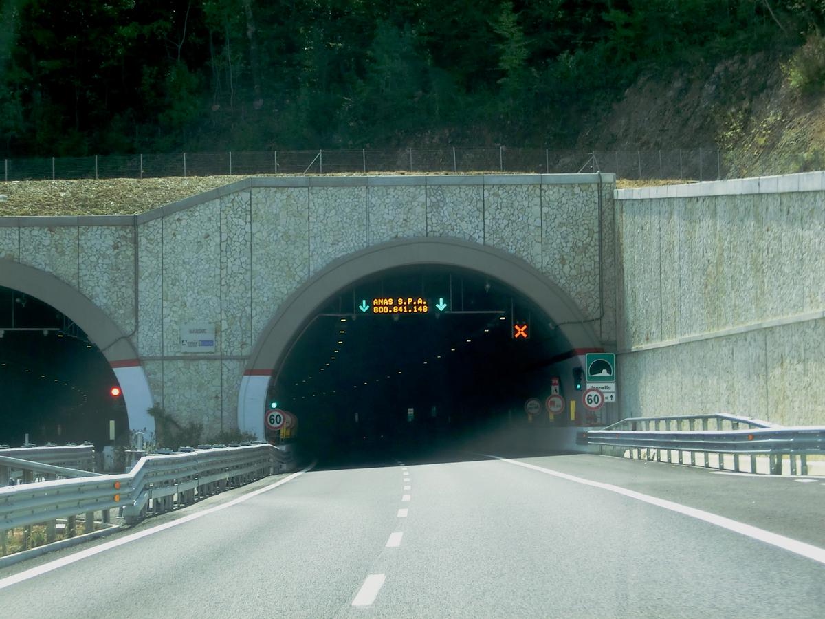 Iannello Tunnel northern portal 