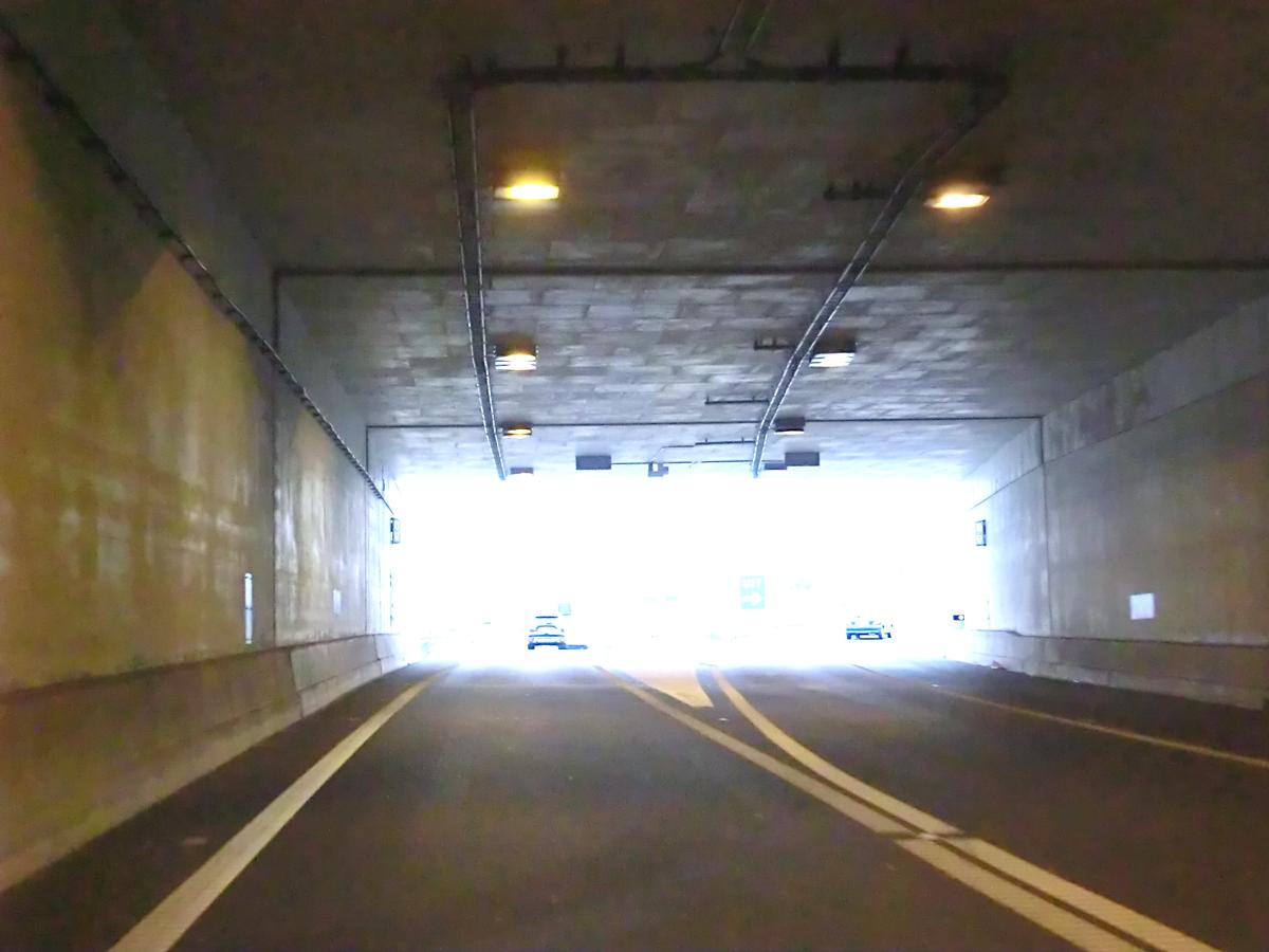 Tunnel Roi Willem Alexander 