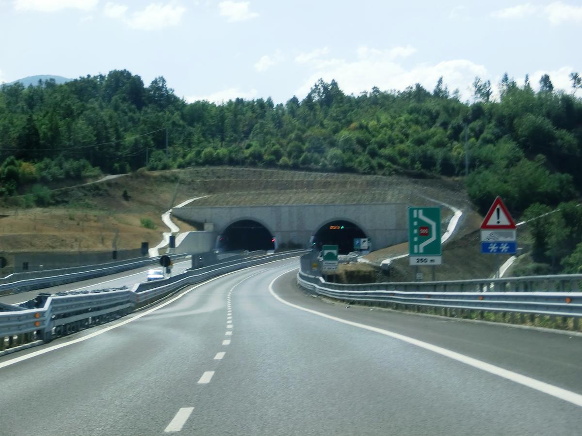 Laria Tunnel northern portals 