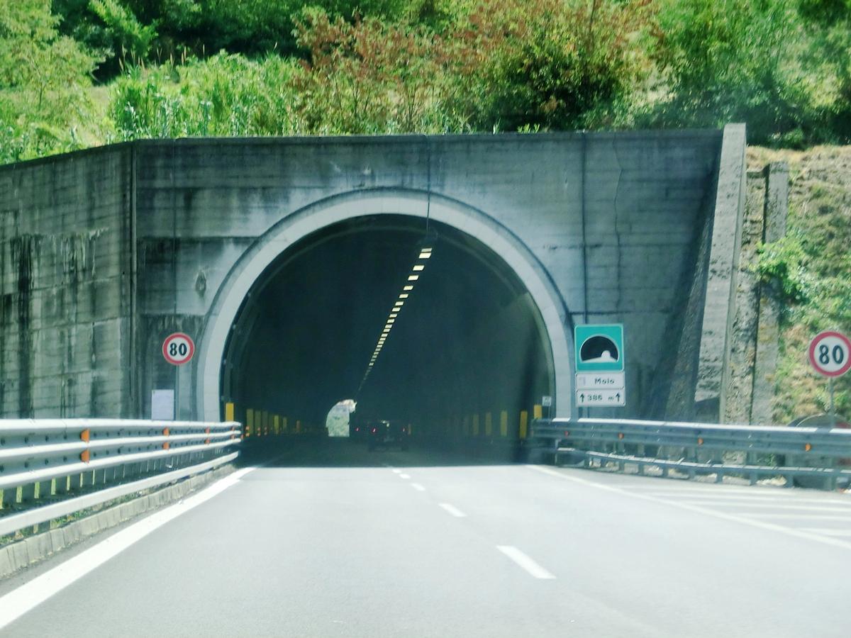 Moio Tunnel northern portal 