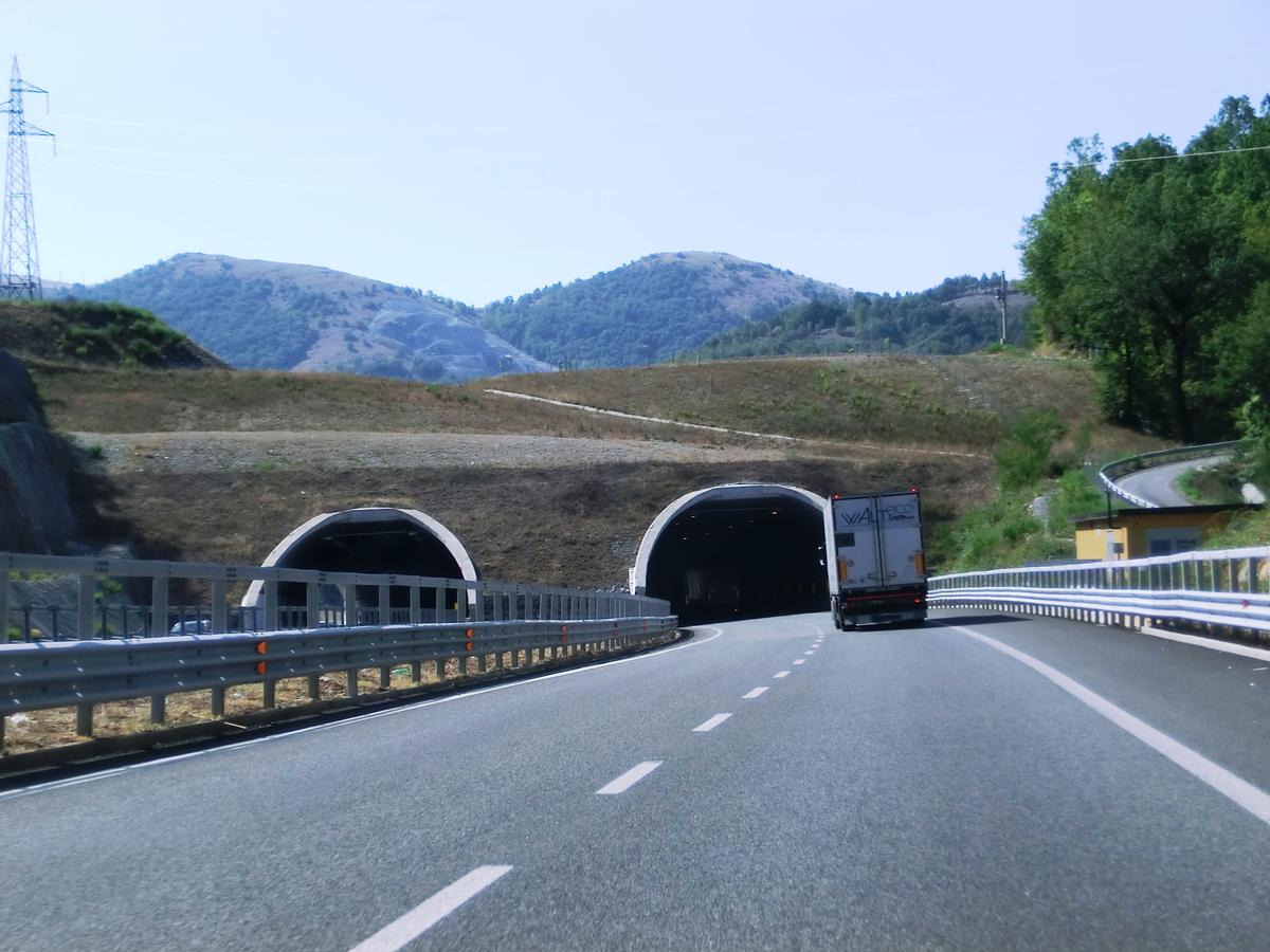 Tunnel de Sardina I 