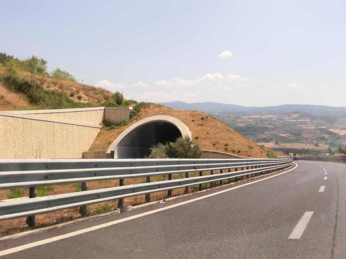 Vernicchio Tunnel northern portal 