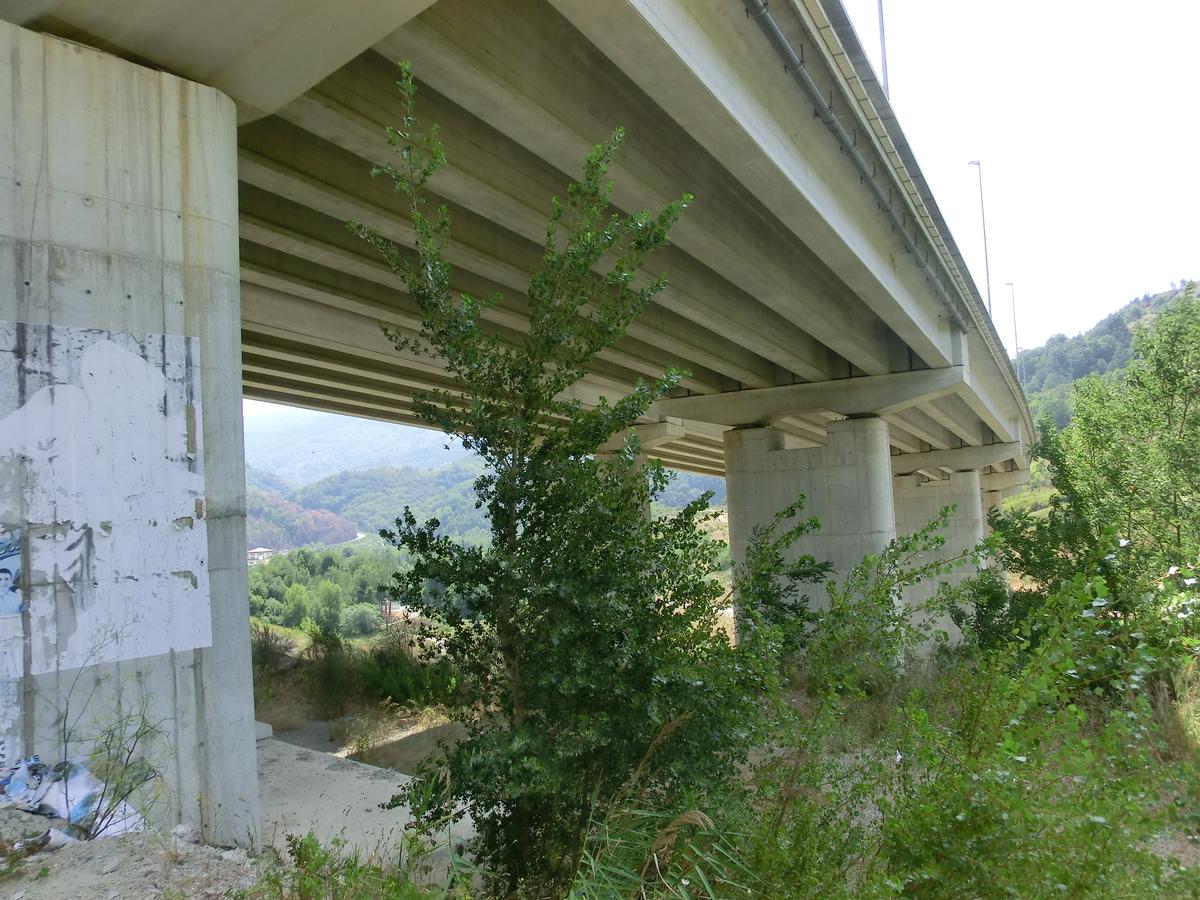 Carito Viaduct 