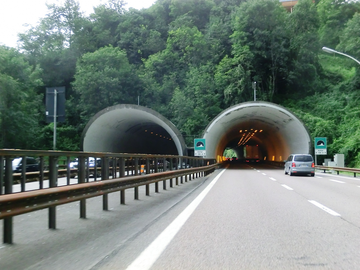 Rosa-Kofler Tunnel southern portals 