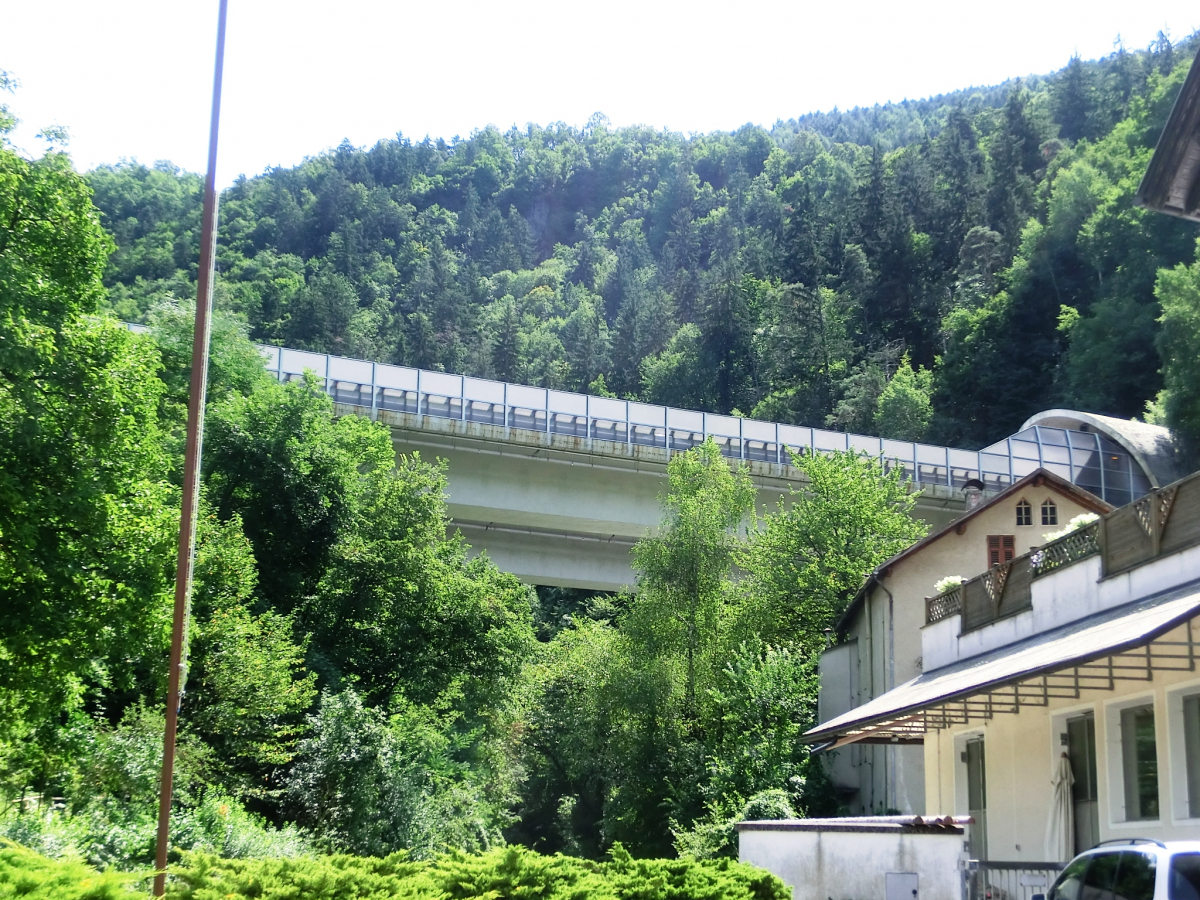 Vogelweider Viaduct 