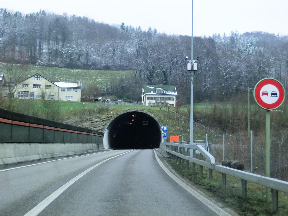 Chienberg Tunnel eastern portal 