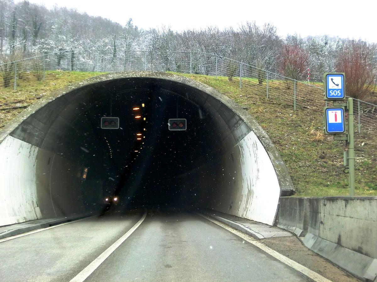 Chienberg Tunnel eastern portal 