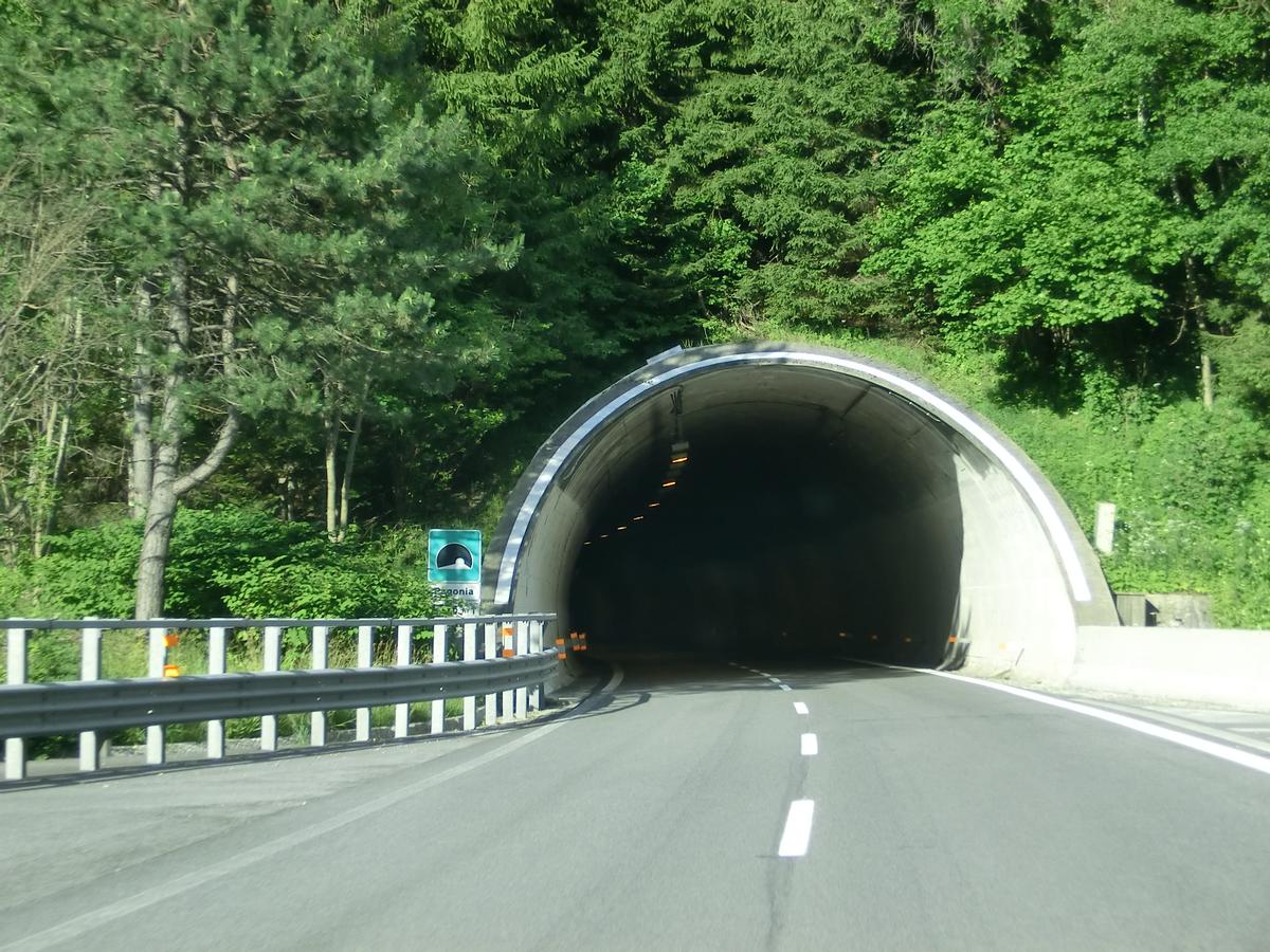 Pagonia Tunnel western portal 
