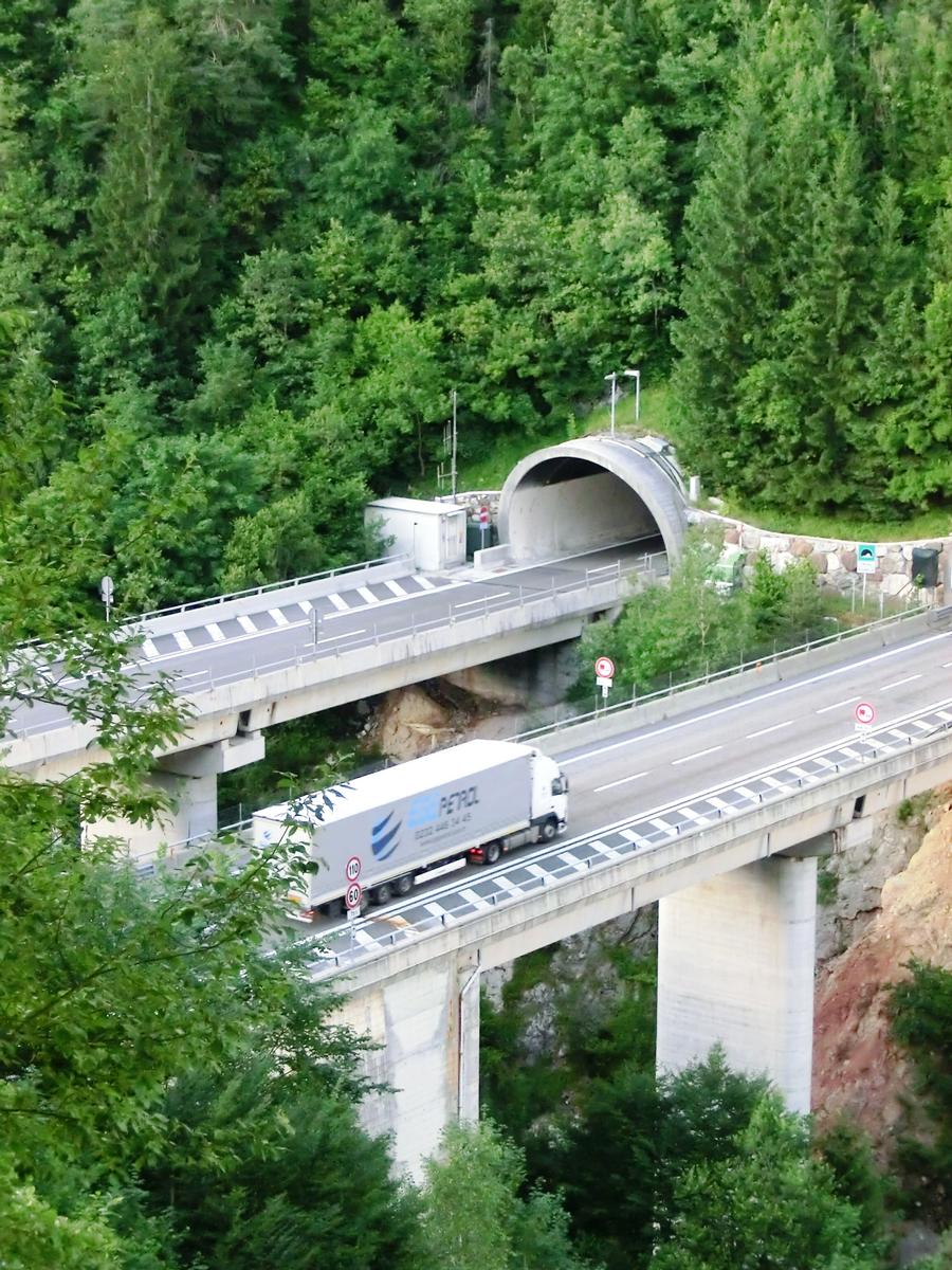 A23 Rio Bianco Viaduct and Sant'Antonio Tunnel southern portal 