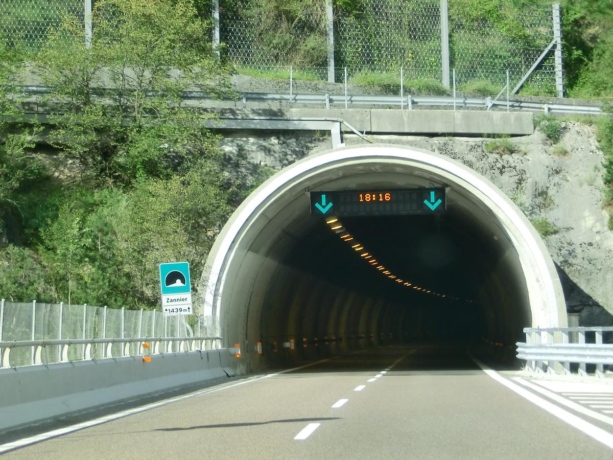 Zannier Tunnel southern portal 