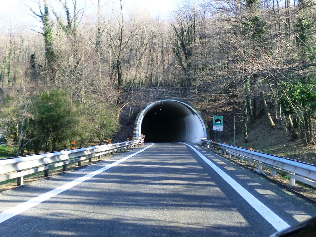 Carpugnino Tunnel southern portal 