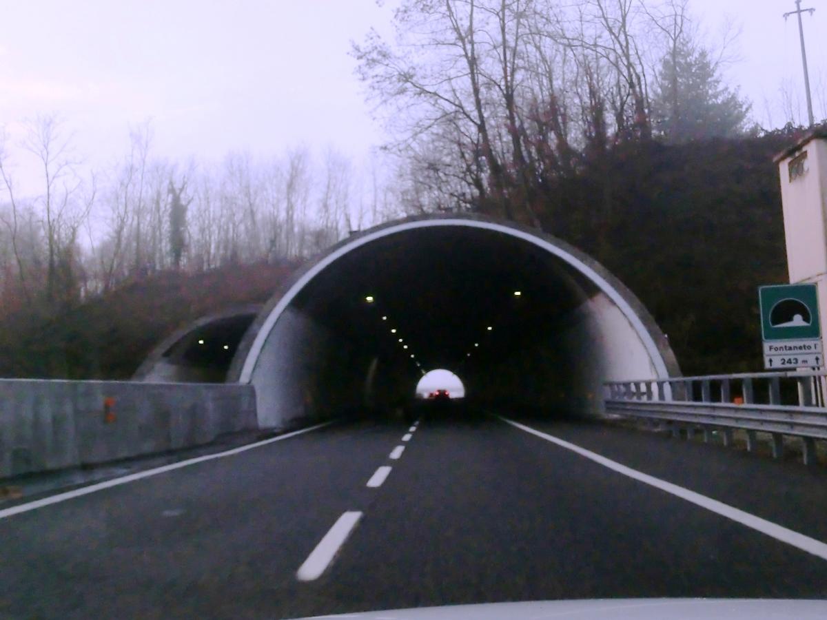 Fontaneto 1 Tunnel eastern portals 