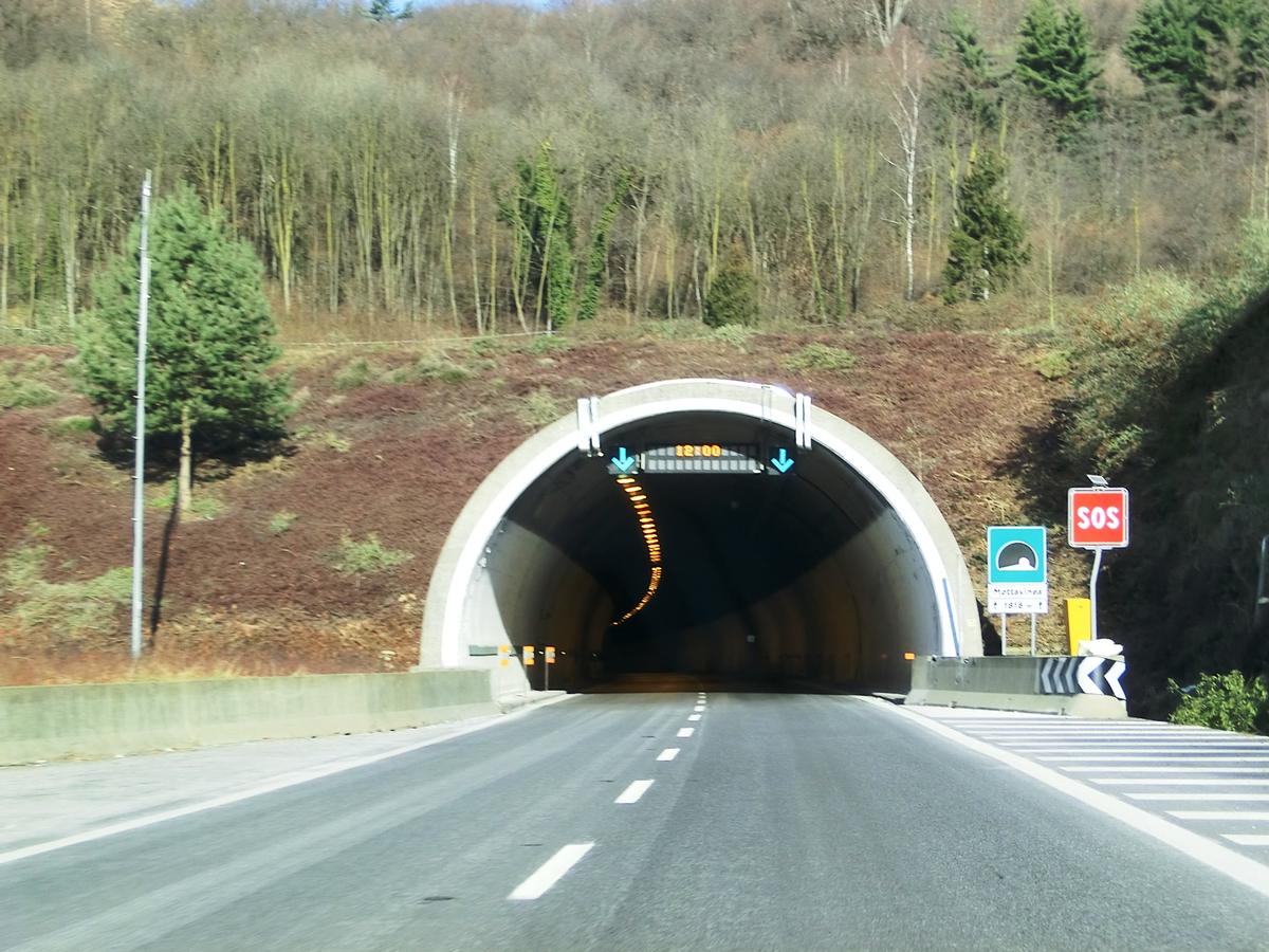 Mottavinea Tunnel southern portal 