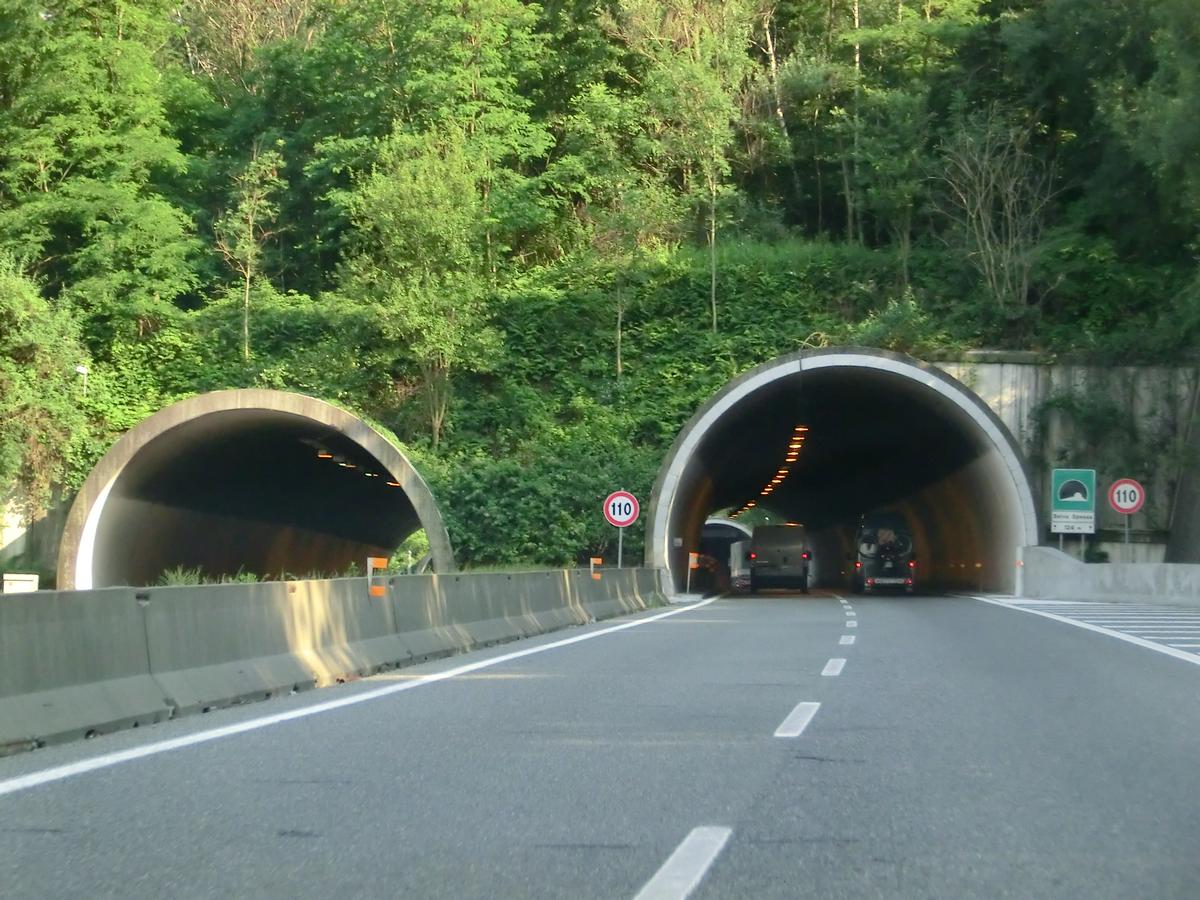 Tunnel de Selva Spessa 