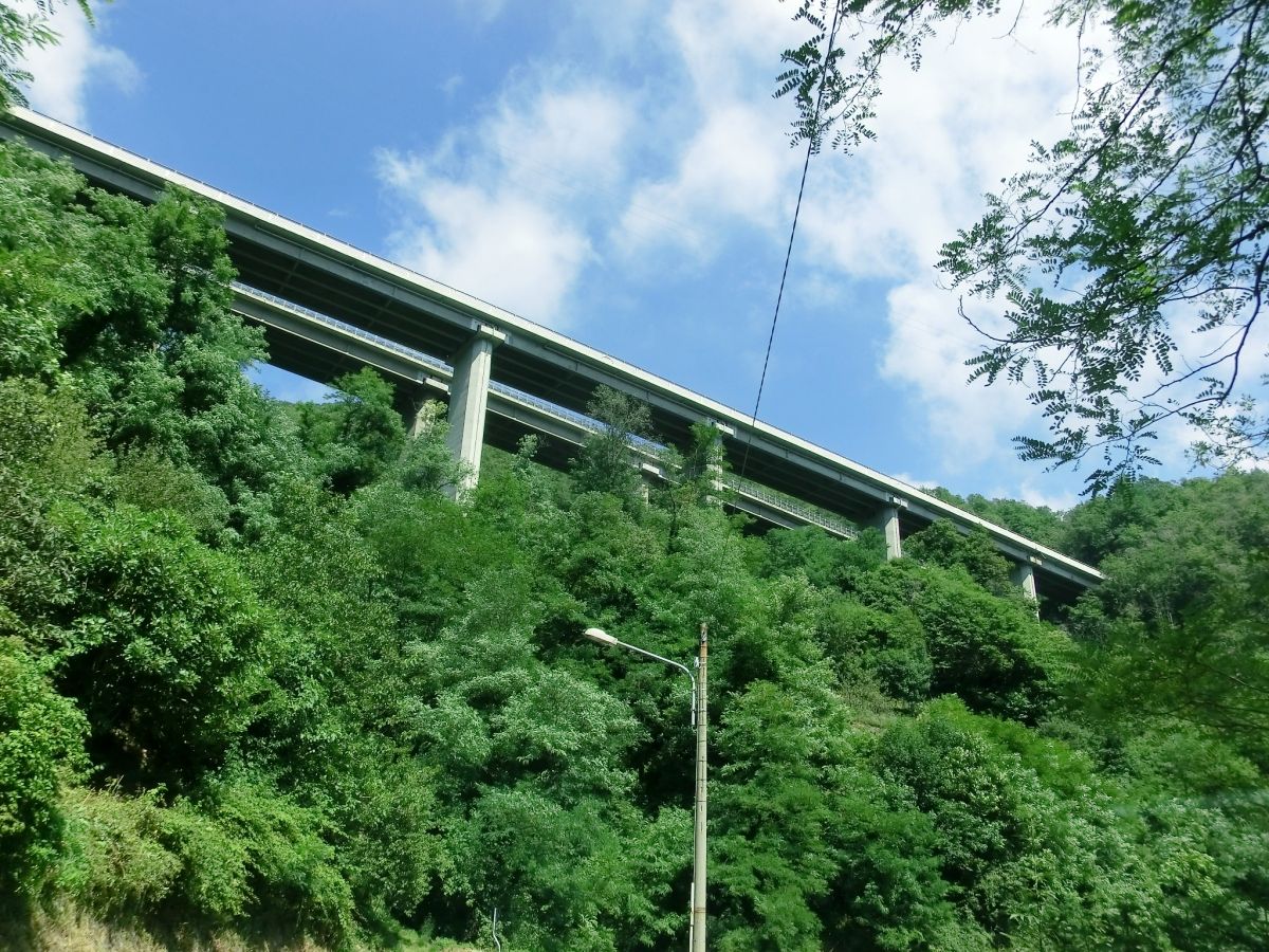 Tianin Viaduct 