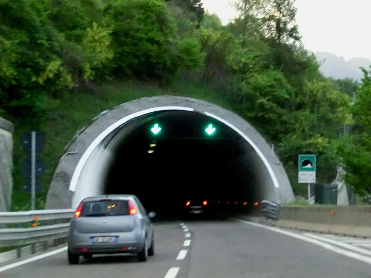 Cave Est Tunnel southern portal 
