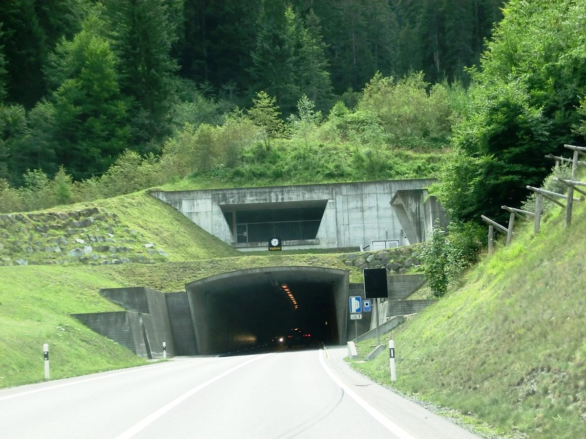 Gotschna Tunnel northern portal 