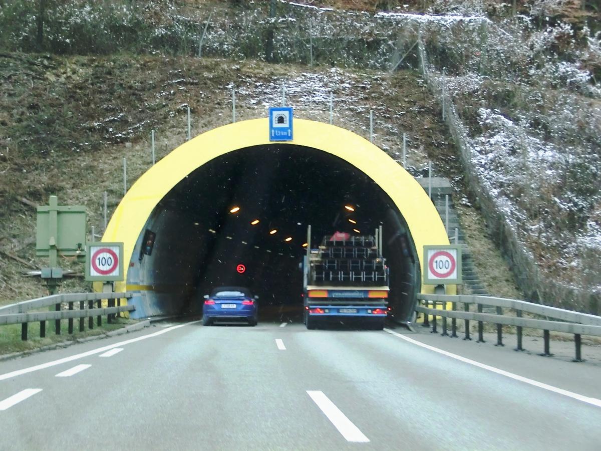 Arisdorf Tunnel southern portal 