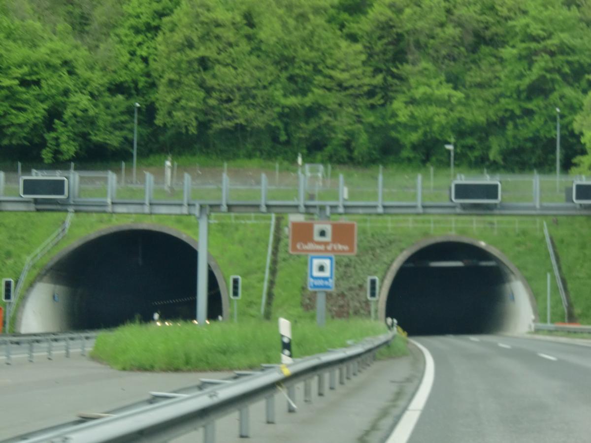 Collina d'Oro Tunnel southern portals 