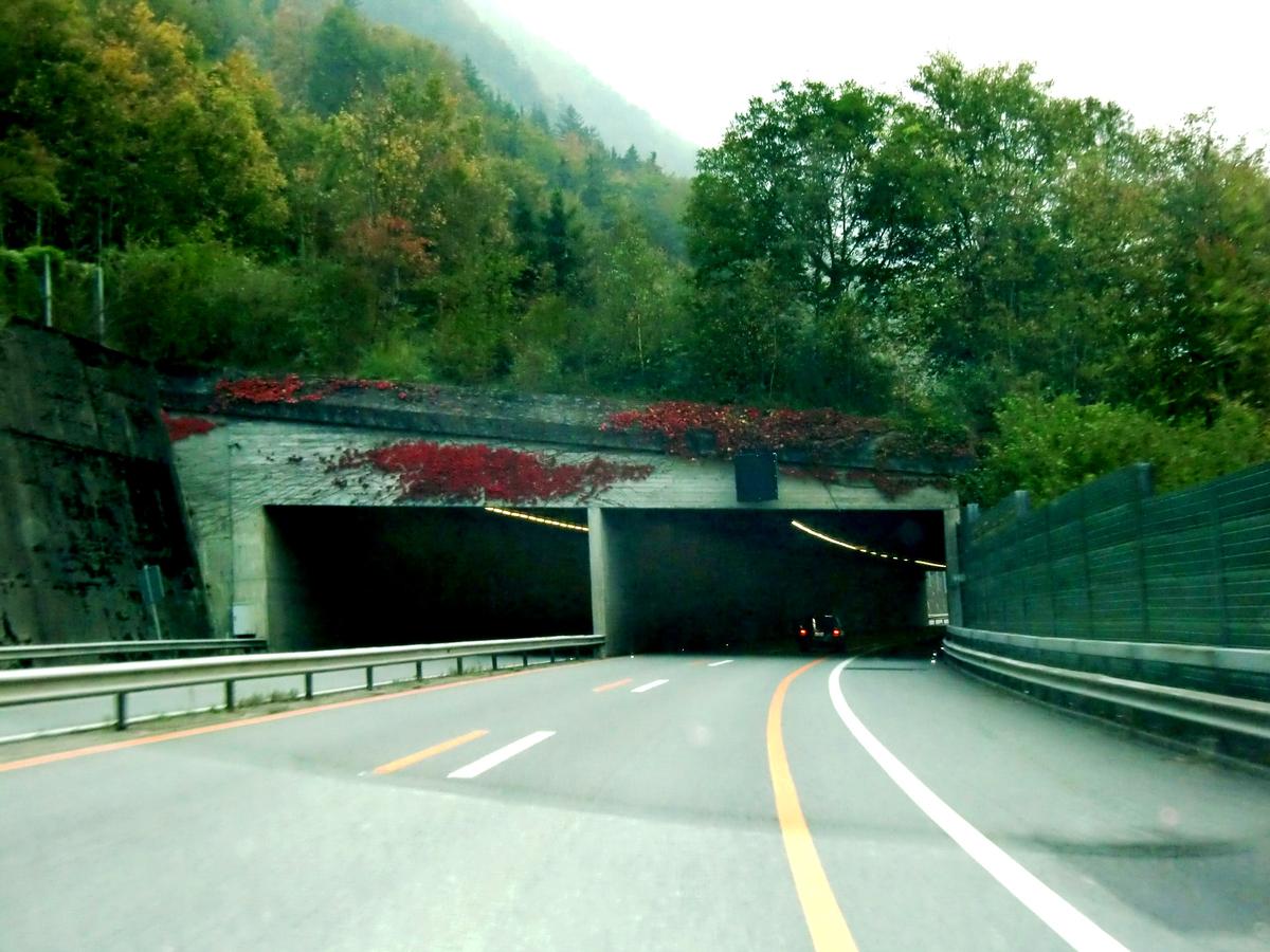 Tunnel de Fischlaui 