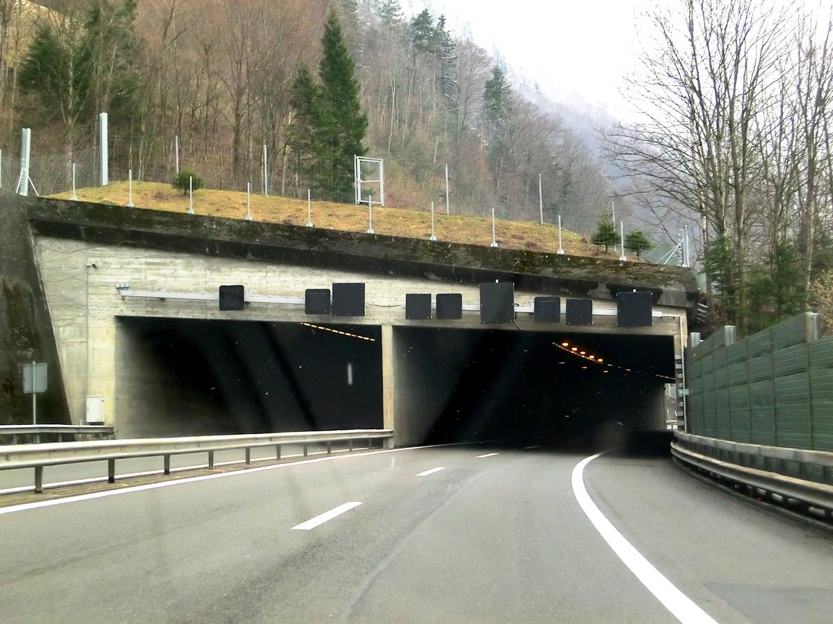 Fischlaui Tunnel southern portals 