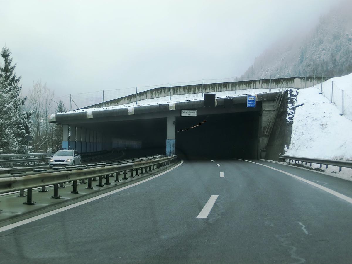 Pfaffensprung Tunnel southern portal 