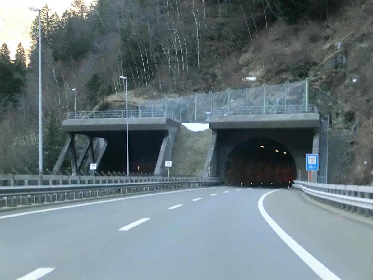 Piumogna Tunnel northern portals 