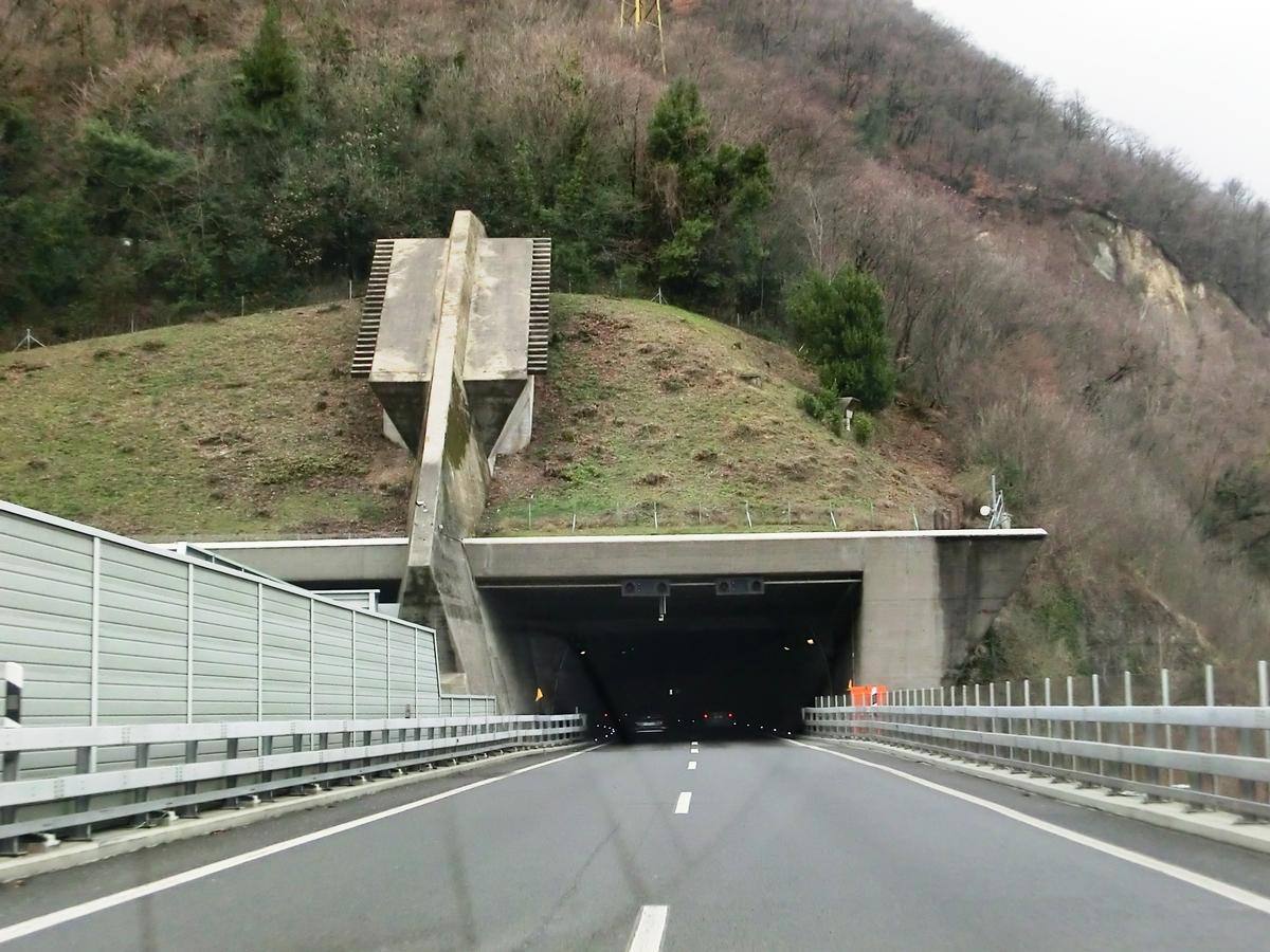San Salvatore Tunnel eastern portal 