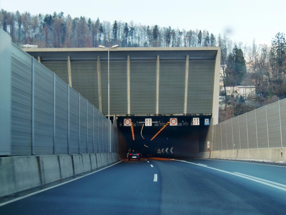 Tunnel de Sonnenberg 