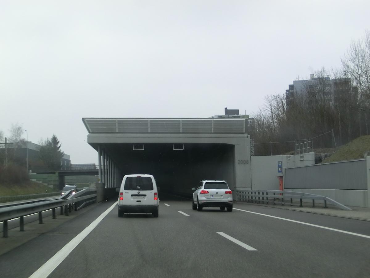 Strengelbach Tunnel southern portal 