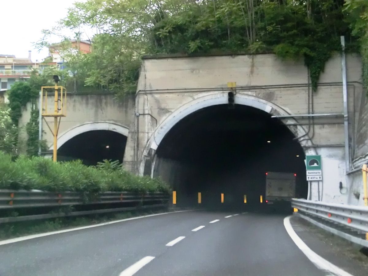 Seminario Tunnel eastern portals 