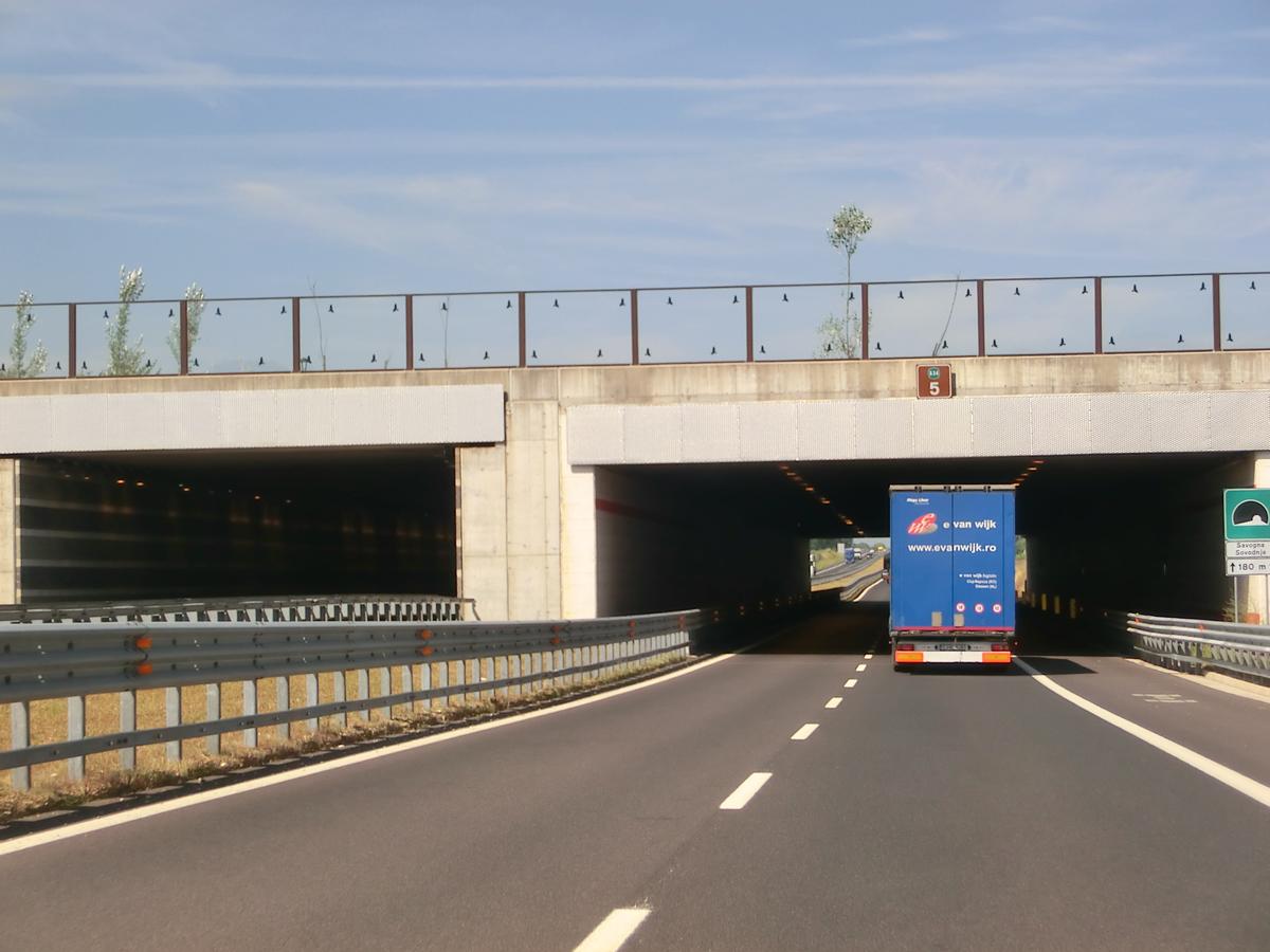 Tunnel Savogna 