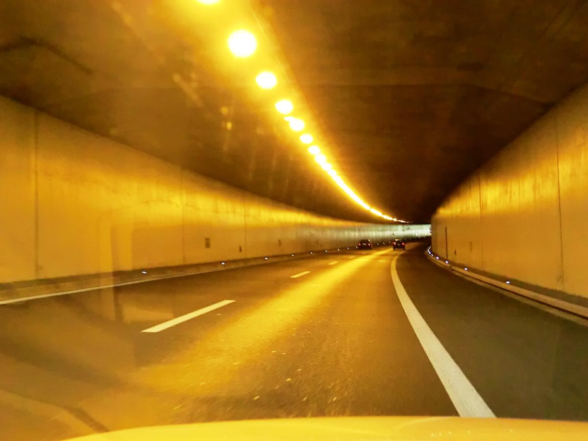 Tunnel de Schinznacherfeld 