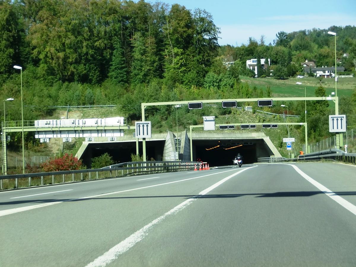 Uetliberg Tunnel western portals 