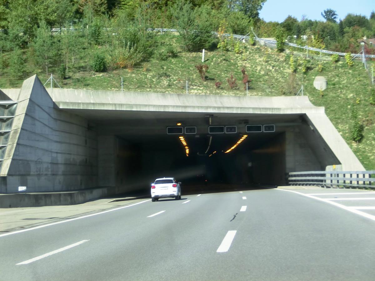 Uetliberg Tunnel western portal 