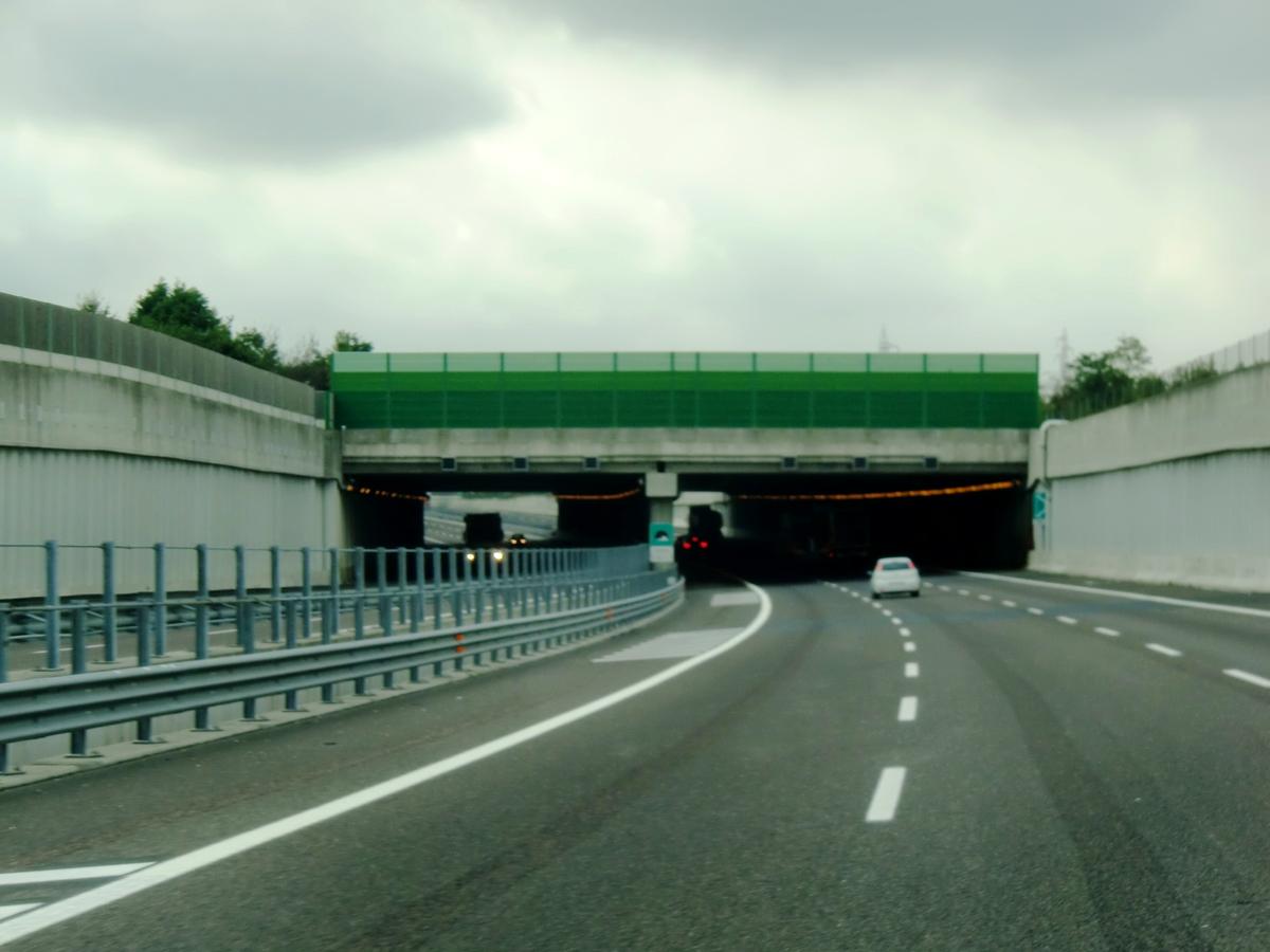 Caltana Tunnel eastern portals 