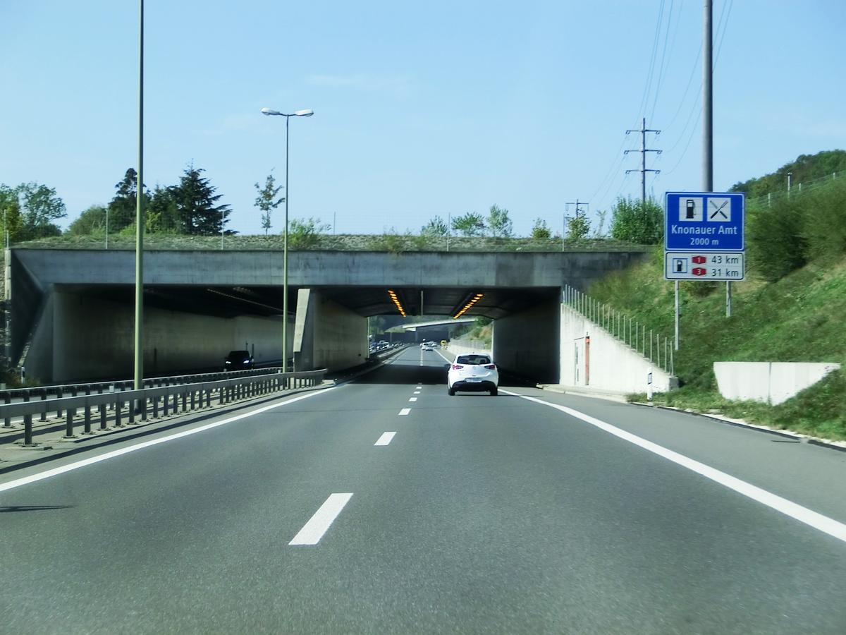 Eigi Tunnel southern portals 