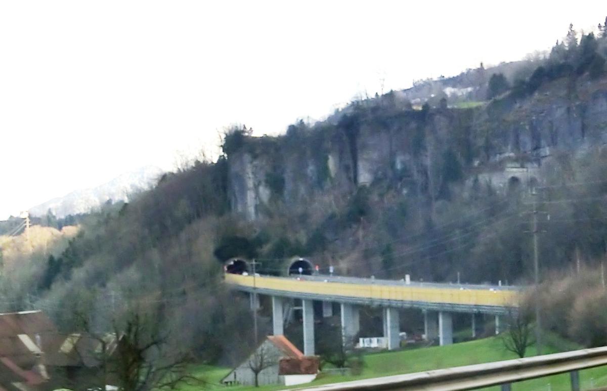 Boli Viaduct and Engiberg Tunnel western portals 