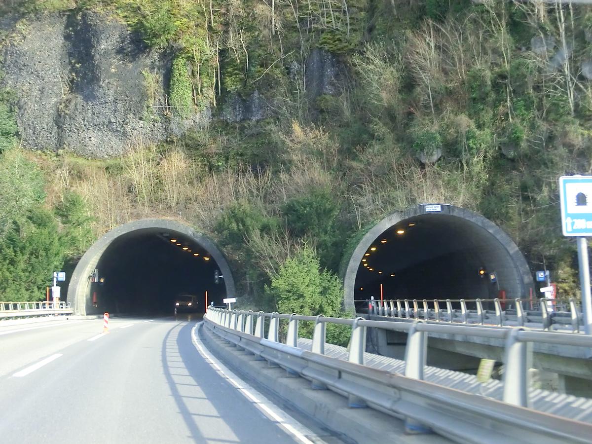 Engiberg Tunnel northern portals 