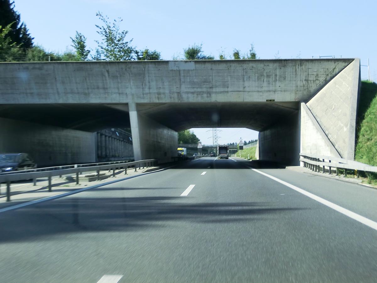 Tunnel d'Isenberg 