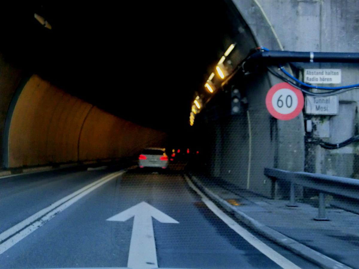 Mosi Tunnel northern portal 