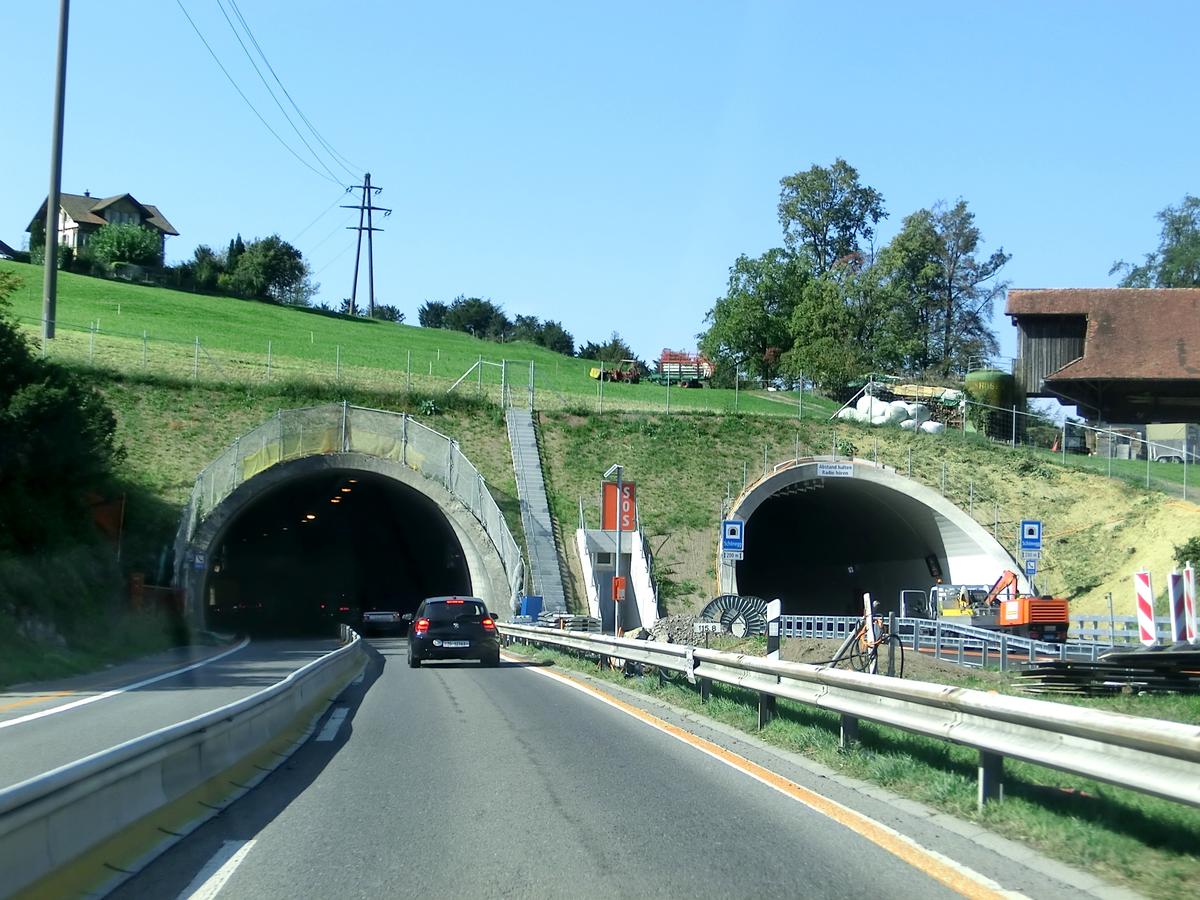 Schonegg Tunnel southern portals 